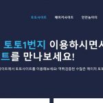NHL에 거는 법: 하키 팬들을 위한 팁